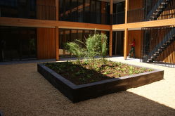 VvE ZuiderCarre 's-Hertogenbosch